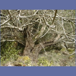 200X_030_Parker_Island.html