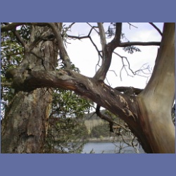 200X_040_Parker_Island.html