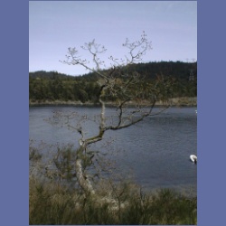 200X_042_Parker_Island.html