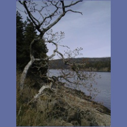 200X_045_Parker_Island.html