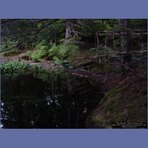 2006_1214_Pavlov_Harbour_Chichagof_I.JPG
