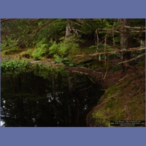 2006_1215_Pavlov_Harbour_Chichagof_I.JPG