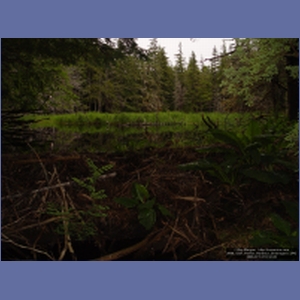 2006_1221_Pavlov_Harbour_Chichagof_I.JPG
