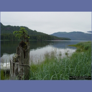 2006_1226_Pavlov_Harbour_Chichagof_I.JPG
