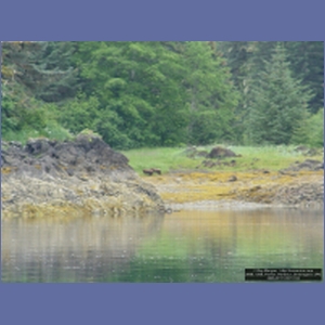 2006_1266_Pavlov_Harbour_Chichagof_I.JPG
