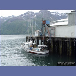 2006_1564_Pelican_Alaska.JPG