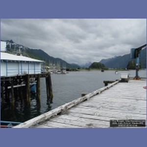 2006_1565_Pelican_Alaska.JPG