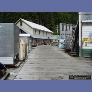 2006_1568_Pelican_Alaska.JPG