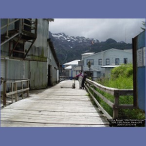 2006_1569_Pelican_Alaska.JPG