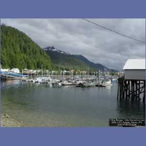 2006_1572_Pelican_Alaska.JPG