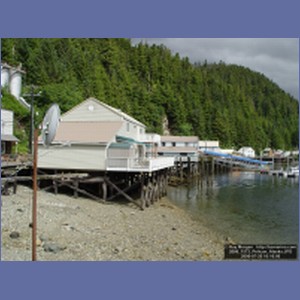 2006_1573_Pelican_Alaska.JPG
