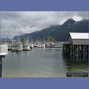 2006_1578_Pelican_Alaska.JPG