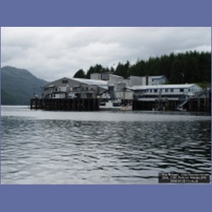 2006_1586_Pelican_Alaska.JPG
