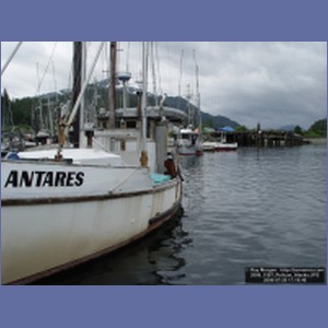 2006_1587_Pelican_Alaska.JPG