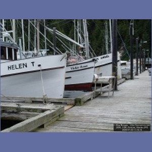 2006_1590_Pelican_Alaska.JPG