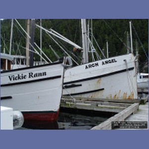 2006_1591_Pelican_Alaska.JPG
