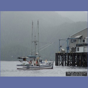 2006_1593_Pelican_Alaska.JPG
