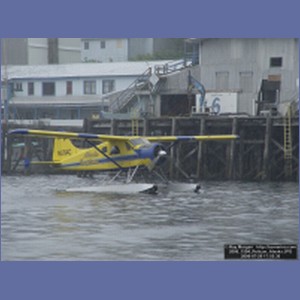 2006_1594_Pelican_Alaska.JPG
