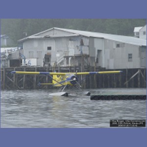 2006_1595_Pelican_Alaska.JPG