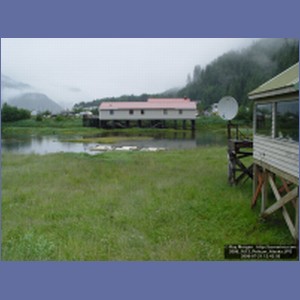 2006_1613_Pelican_Alaska.JPG