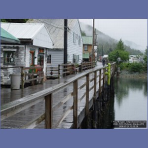 2006_1633_Pelican_Alaska.JPG