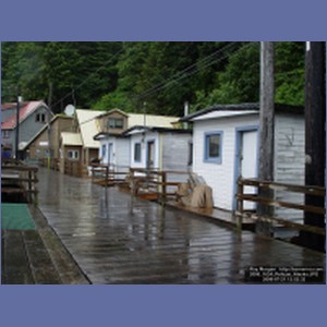 2006_1634_Pelican_Alaska.JPG