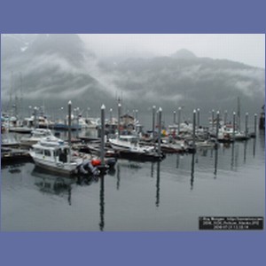 2006_1636_Pelican_Alaska.JPG
