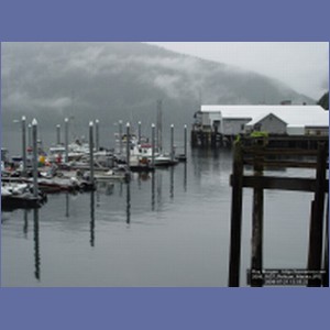 2006_1637_Pelican_Alaska.JPG