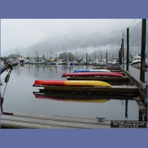 2006_1648_Pelican_Alaska.JPG