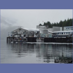 2006_1650_Pelican_Alaska.JPG