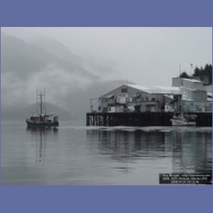 2006_1651_Pelican_Alaska.JPG