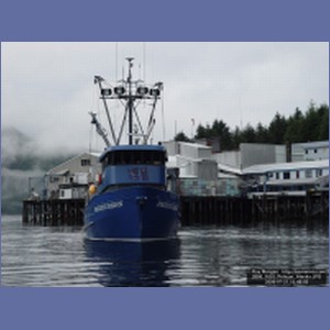 2006_1653_Pelican_Alaska.JPG