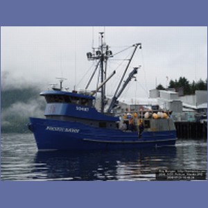 2006_1655_Pelican_Alaska.JPG