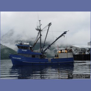 2006_1656_Pelican_Alaska.JPG