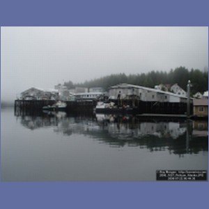 2006_1657_Pelican_Alaska.JPG