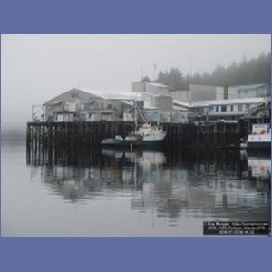 2006_1658_Pelican_Alaska.JPG
