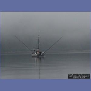 2006_1659_Pelican_Alaska.JPG