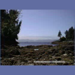 1998_011_Penrose_Island.html
