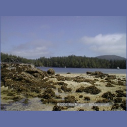 1998_013_Penrose_Island.html