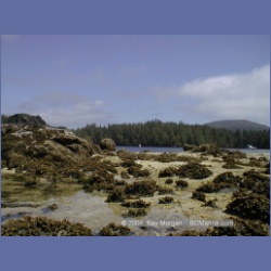 1998_014_Penrose_Island.html