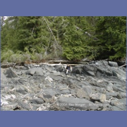 1998_021_Penrose_Island.html