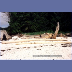 1998_penrose32.html