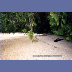 1998_penrose33.html