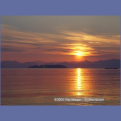 2004_6317_Pine_Island.html