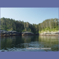 2004_6338_Pine_Island.html