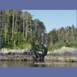 2004_6342_Pine_Island.html