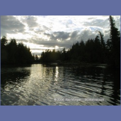 2002_116_Pinkerton_Islands_BarkleySound.html