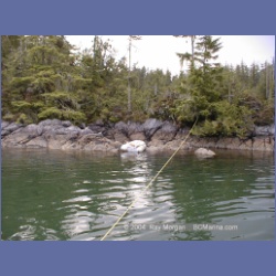 2002_117_Pinkerton_Islands_BarkleySound.html