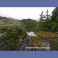 2002_122_Pinkerton_Islands_BarkleySound.html