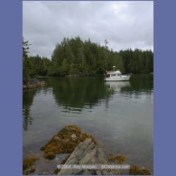 2002_124_Pinkerton_Islands_BarkleySound.html
